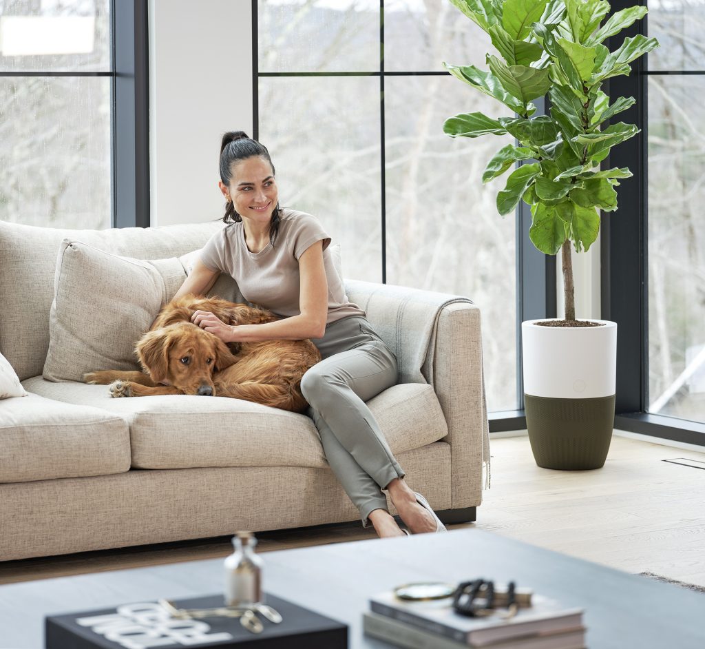 Lifestyle photography for commercial needs